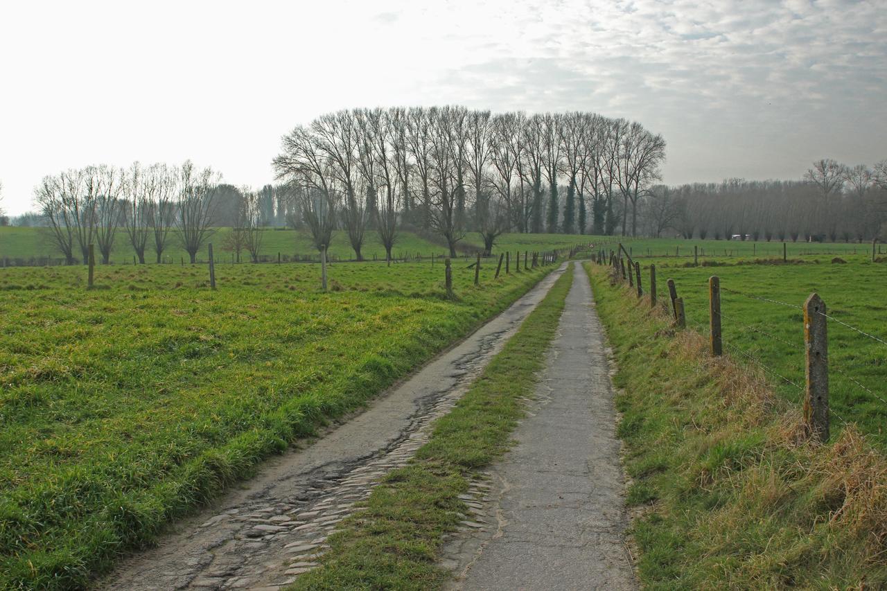 B&B Dotter 17 Erpe-Mere Bagian luar foto