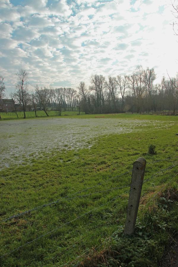 B&B Dotter 17 Erpe-Mere Bagian luar foto