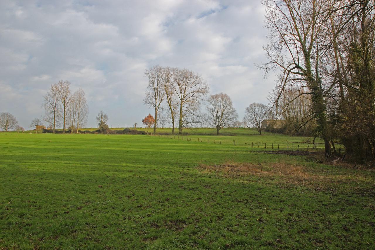 B&B Dotter 17 Erpe-Mere Bagian luar foto