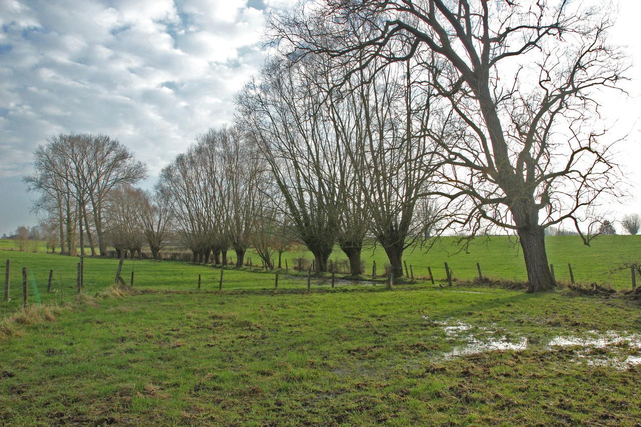 B&B Dotter 17 Erpe-Mere Bagian luar foto