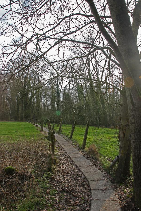 B&B Dotter 17 Erpe-Mere Bagian luar foto