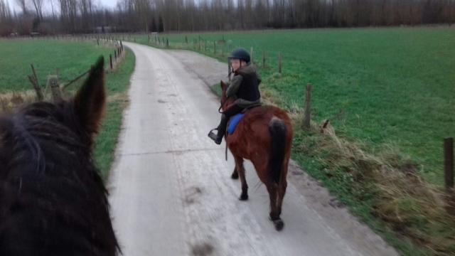 B&B Dotter 17 Erpe-Mere Bagian luar foto