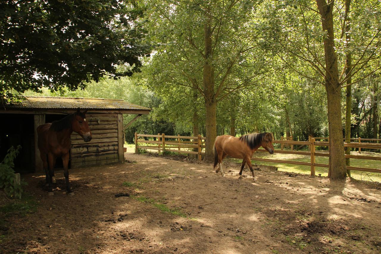 B&B Dotter 17 Erpe-Mere Bagian luar foto