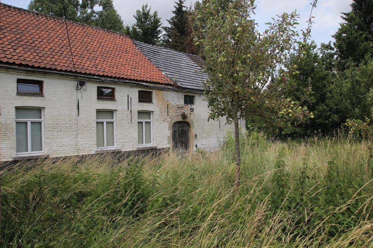 B&B Dotter 17 Erpe-Mere Bagian luar foto