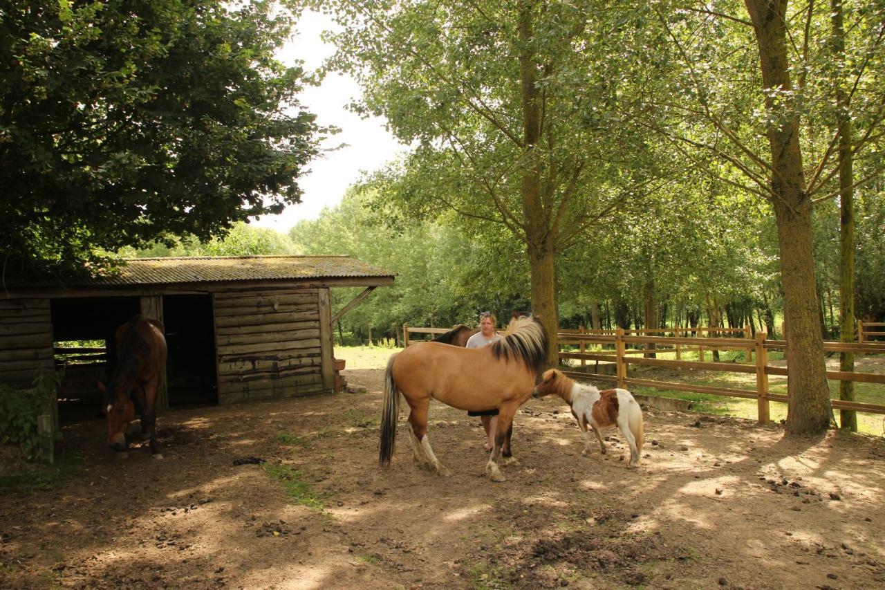 B&B Dotter 17 Erpe-Mere Bagian luar foto