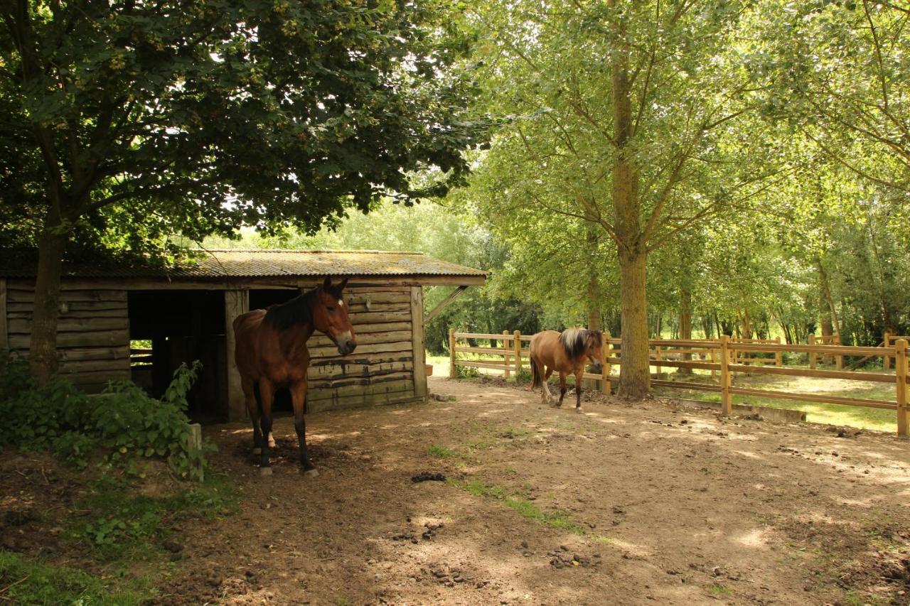 B&B Dotter 17 Erpe-Mere Bagian luar foto